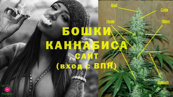 ешки Белоозёрский