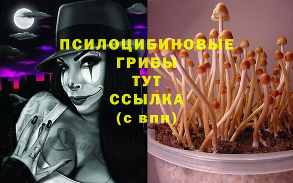ешки Белоозёрский