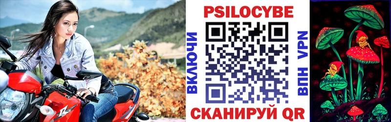 Галлюциногенные грибы GOLDEN TEACHER  закладка  Конаково 